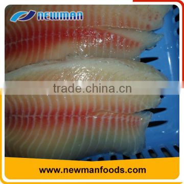 China export fresh frozen red tilapia vacuum pack frozen fish fillet