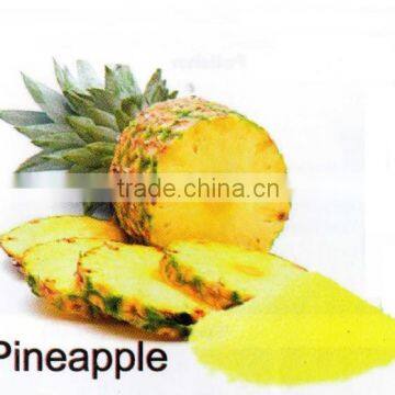 All-Natural Spray Dried Pineapple Powder