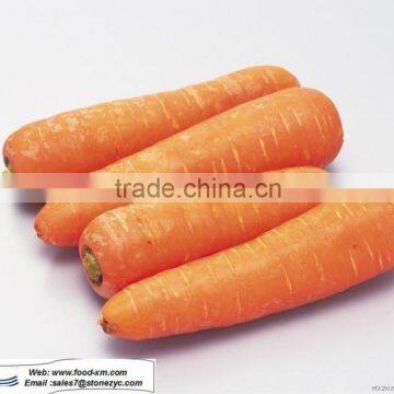 2012 fresh red carrot (own farm)