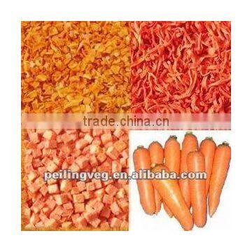 Chinese Fresh farm carrot