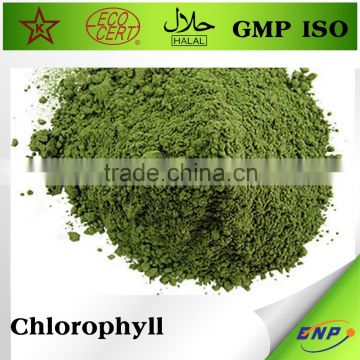 BNP 100% natural GMP ISO HLALA anti-cancer Chlorophyll powder