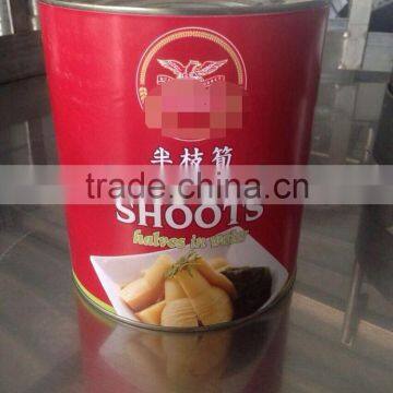 Canned Bamboo Shoots Slices photo-3