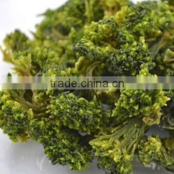 Dehydrated Broccoli