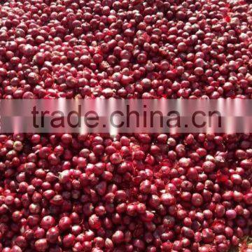Exporters, Producer, Suppliers of Fresh Onions/Red Onions photo-6