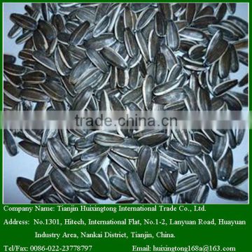 2015 Chinese New Crop Sunflower Seeds For Sale