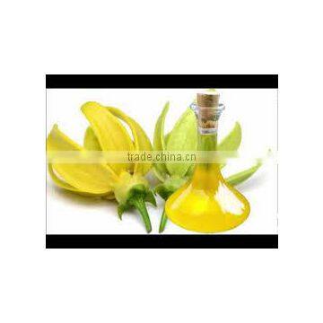 Ylang Ylang Oil