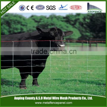 Galvanized ranch style fence for cattle (Professional factory)