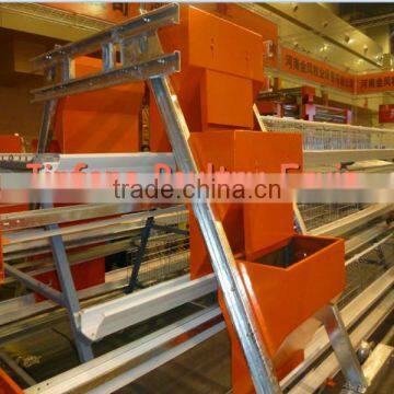 automatic chicken egg laying cages