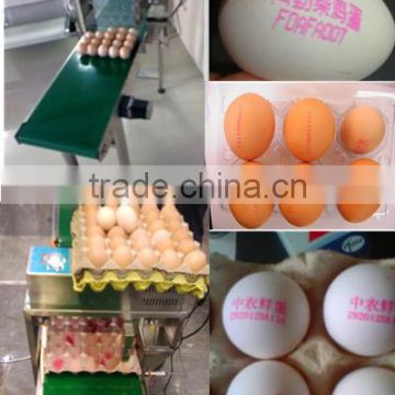 date code laser engraving machine/production date coding machine/ eggs inkjet printer