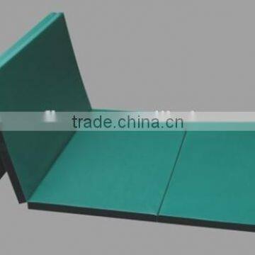 Manufacturer Gymnastics Tumbling Mats For Kids With Designs