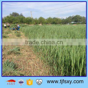 Mobile Rice Wheat GK-140 Reaper Binder Price photo-3