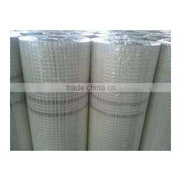 Competitive Price Fiberglass Gridding Cloth photo-2