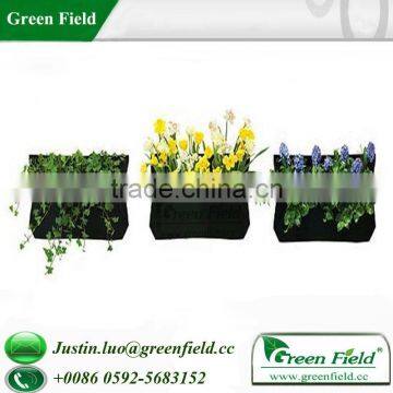 Green Field Mini Living Wall Planter