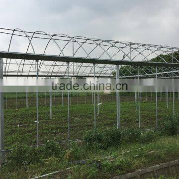 Agicultural Greenhouse photo-5