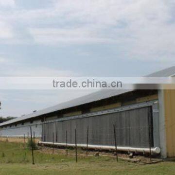 Poultry Feeding System Automatic Chicken House photo-4