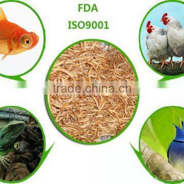 FDA nutrient commercial fish food dried mealworm