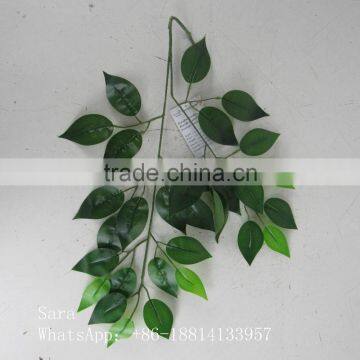 SJ071201 High initation ficus tree leaves with UV protection