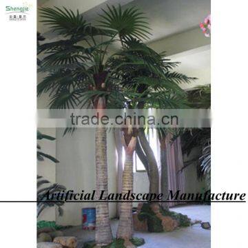 Garden/landscaping/home Decorative Indoor Palm Trees photo-4