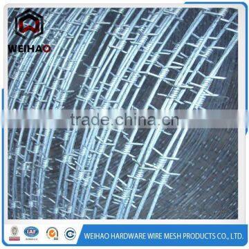 safety galvanized steel barbed wire