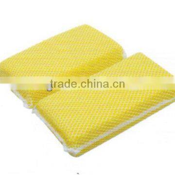 Portable sponge with net