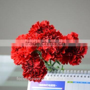 high quality natural fresh cut flowers export carnation for birthday