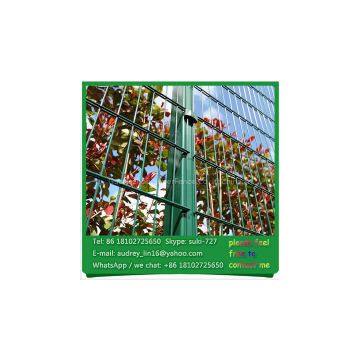 Modern rigid decorative garden fencing twin wire fence for sale
