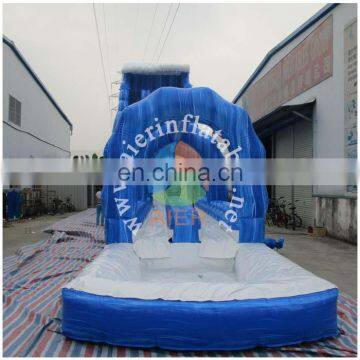 77ft Height Adult Water Slide,long Water Slide,big Kahuna Inflatable Water Slide photo-5