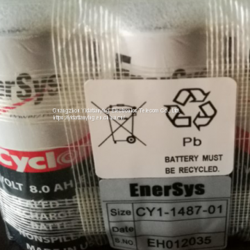 FURUNO VR 7010 Battery CY1-1487-01