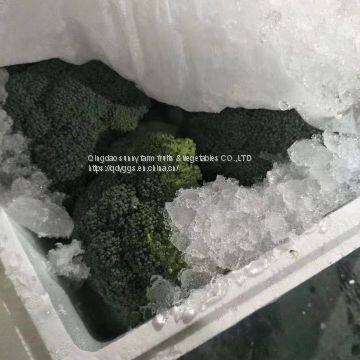Fresh Broccoli photo-5