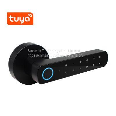 Secukey Tuya Bluetooth Wireless Smart Door Lock IP66 Waterproof Fingerprint Door Lock photo-2