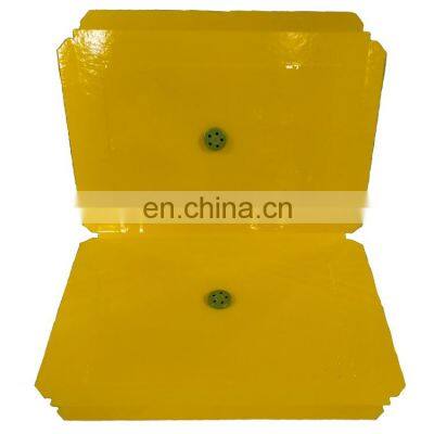 China Manufacturer Direct Sales High Quality 22cmx17cm Yellow Meat Scent Mouse Board