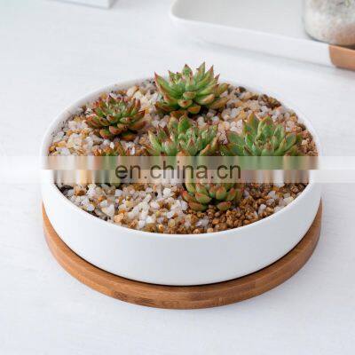 Good Selling Indoor Plant Succulent Perfect Ceramic Garden Cactus Planter Pot