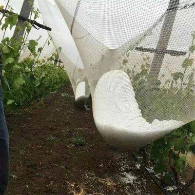 High Quality Low Cost Anti Hail Net Plastic HDPE Hail Netting For Plants Orchard