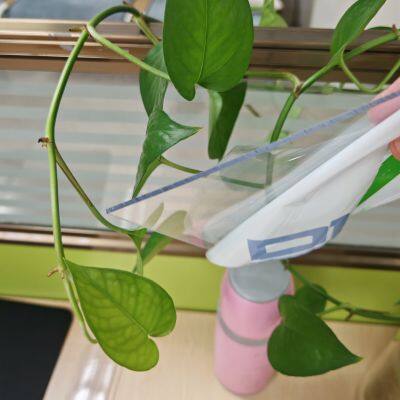 Solid Polycarbonate Greenhouse Plastic for Sale Used Clear Sheet photo-5