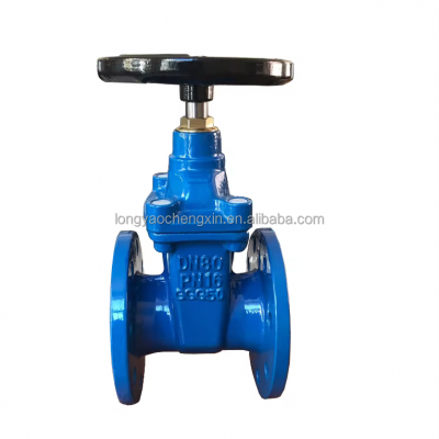 BS Brass Seat Non Rising Stem Gate Valve BS5163 BS3464 Gray Cast Iron and Ductile Iron Valves PN10 PN16 photo-2