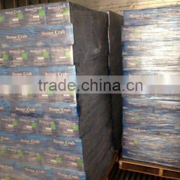 EDIBLE CRAB, RED STONE CRAB photo-4