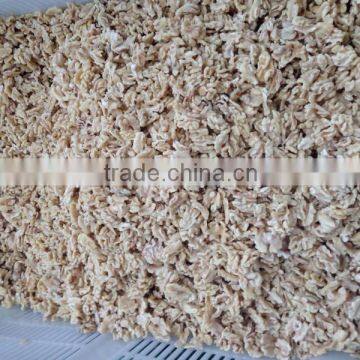 Walnut Production Line for Protein Beverage photo-2