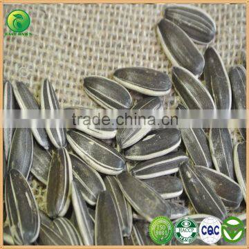 Bird Seed Food Product Wholesale sunflower Seeds, Chinese Sunflower Seeds