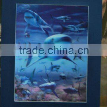 3D Shark Frame Photos 3D Lenticular Framed Wall Photo for Home Decoration