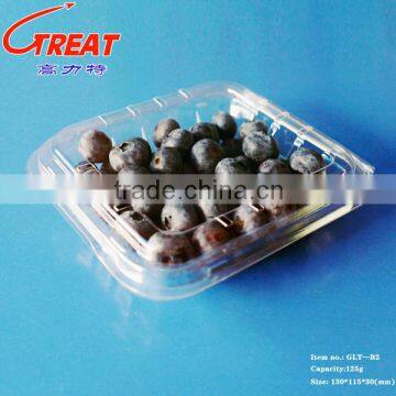 New Products for Sale Fresh Blueberry Plastic Containers photo-4