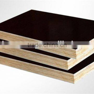 Film Faced Plywood Film Faced Plywood With Low Price for Win Win photo-5