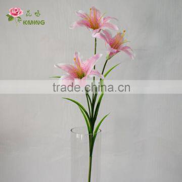 Inner Door Super Realistic Easter Lily Flower photo-3