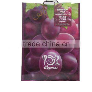 PP non woven laminated bag