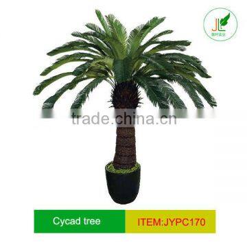 artificial noble Cycas Palm tree for mall decor