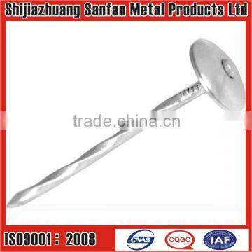 Sell ring shank galvanized roofing nail