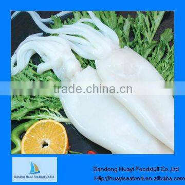 High quality frozen squid tube U5