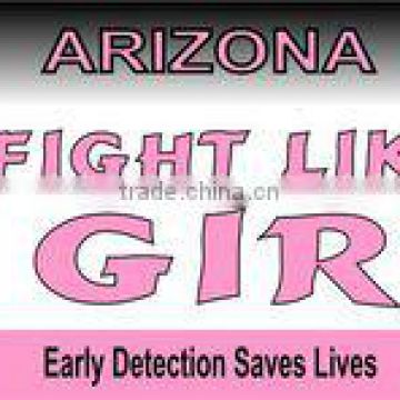 Arizona Pink Ribbon License Plate