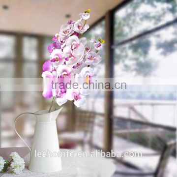 Beatiful flower white Phalaenopsis Orchid Flower & purple Center Plant