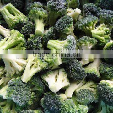 Supply Chinese IQF Frozen Broccoli