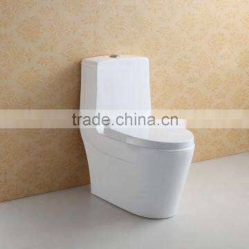 Water Saving Dual Flush Ceramic Toilet